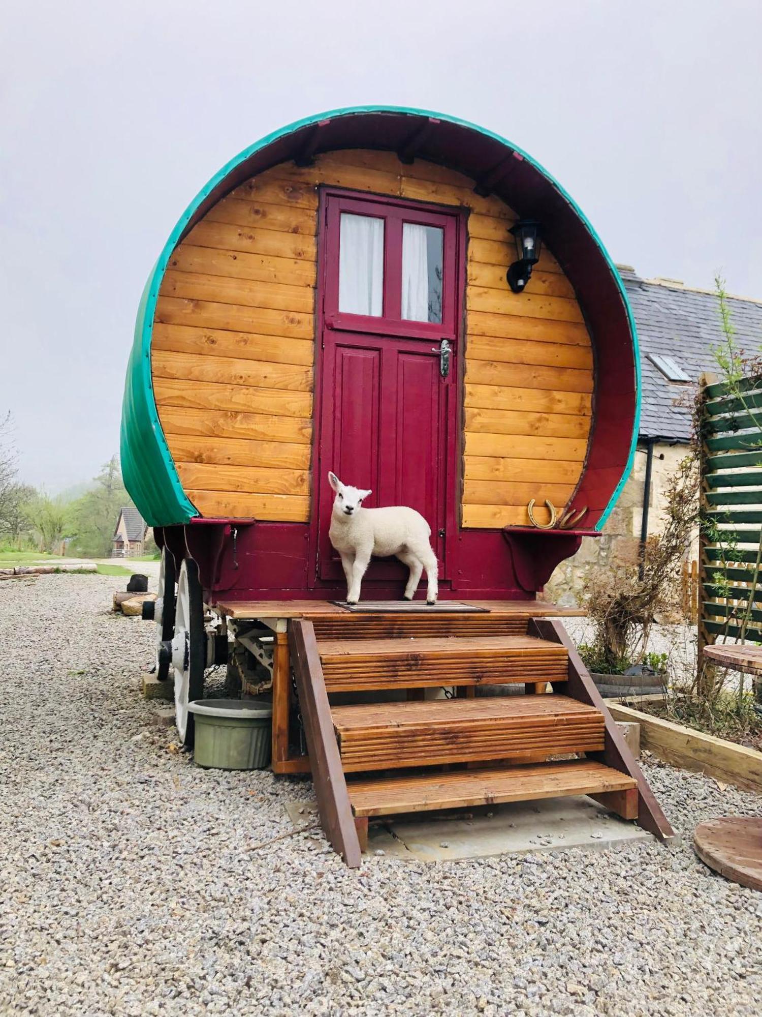 Bowtop Wagon At Lettoch Farm Keith Dış mekan fotoğraf